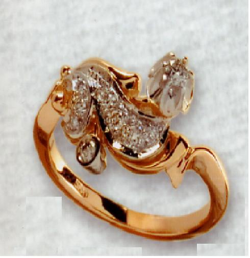 הזמנה אישית  - 2054 RD-499