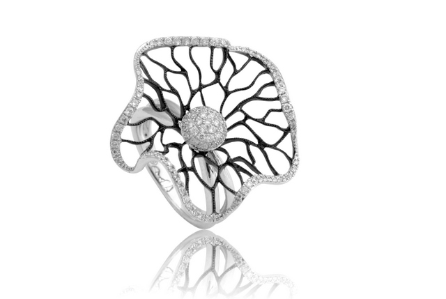 הזמנה אישית  - 1805 RD-171A012AX