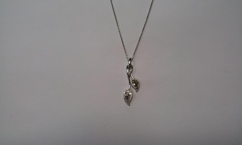 הזמנה אישית  -  PD-QTDC